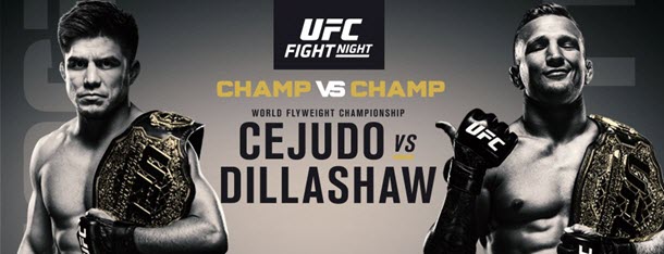 Malam Pertarungan UFC 143: Henry Cejudo vs. TJ Dillashaw